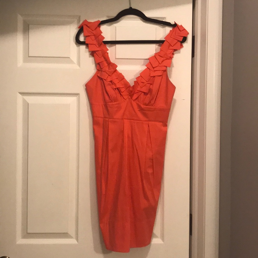BCBG Coral Dress
